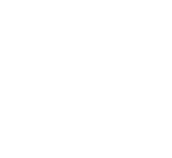 Gems That Shine – Global Science Knowledge Network